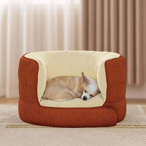 Der entzückende kleine Hund schläft zusammengerollt in einem außergewöhnlich weichen und bequemen erhöhten Bett in einem warmen Terrakotta-Beige-Ton.