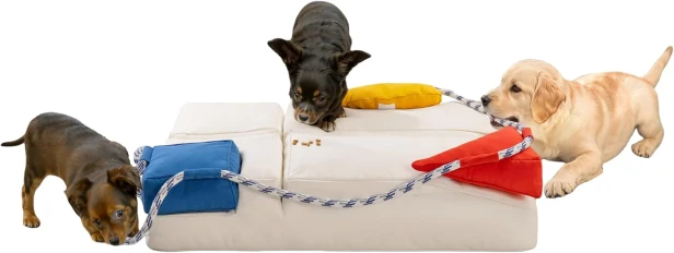 Eine dynamische Szene, in der drei Hunde ausgelassen auf einem großen, beigen Bett und einem modularen Sofa spielen.