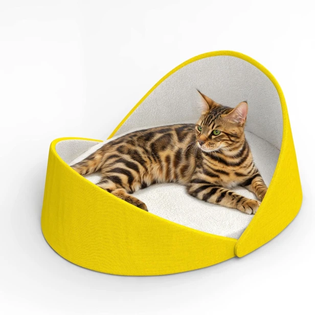 Luxuriöses Katzenbett mit hoher Rückenlehne | Bengalkatze im gelben Kokon