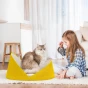 Ein gelbes Designerbett, in dem eine flauschige Katze sitzt, neben der ein Mädchen spielt.