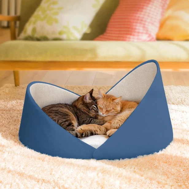 Zwei Katzen, eine getigerte und eine rote, schlafen zusammen in einem weichen blauen Katzenbett mit erhöhtem Muschelrand.