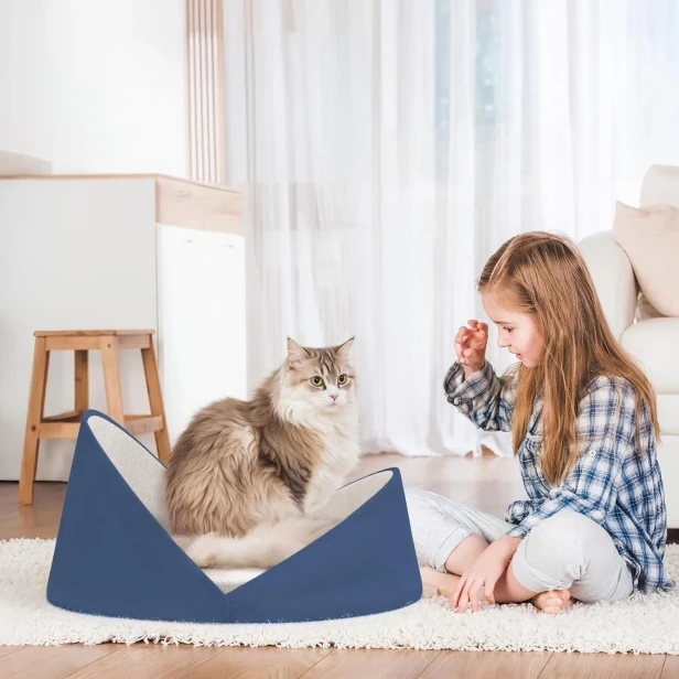 Ein Designer-blaues Bett, in dem eine flauschige Katze sitzt, neben der ein Mädchen spielt.