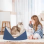 Ein Designer-blaues Bett, in dem eine flauschige Katze sitzt, neben der ein Mädchen spielt.
