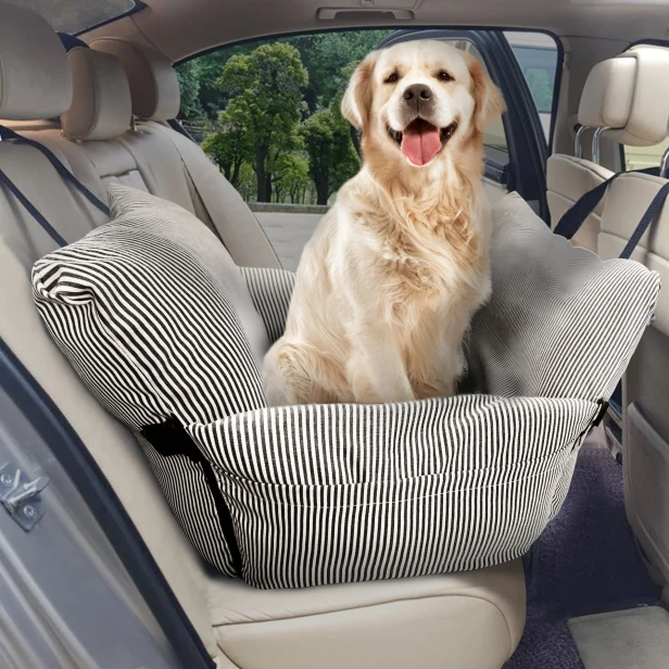 Ein Golden Retriever sitzt zufrieden in einem schwarz-weiß gestreiften (nautischen) Hunde-Sitzerhöhung, die auf dem Rücksitz des Autos montiert ist.
