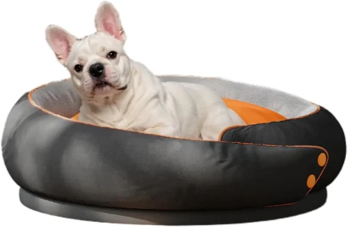 Eine französische Bulldogge sitzt auf einem gemütlichen, runden Schlafsofa. Das Bett ist zweifarbig.