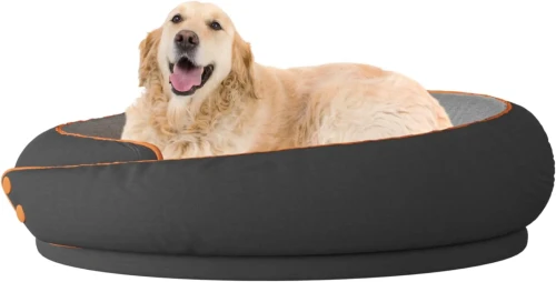 Ein verspielter Golden Retriever liegt in einem großen, runden Bett. Das Bett ist dunkelgrau mit einem helleren Innenfutter.