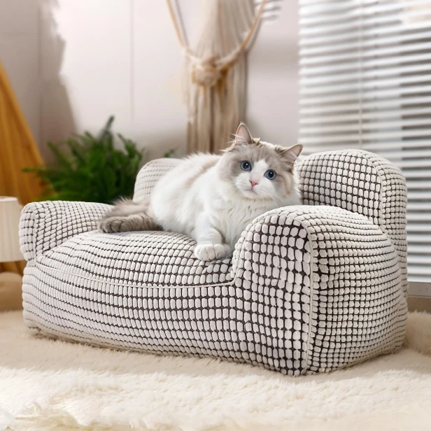 Eine wunderschöne Ragdoll-Katze liegt bequem auf einem luxuriösen Sofa, einer Mini-Sofa-förmigen Haustierliege mit modernem Design, die in einem hellen, stilvollen Interieur platziert ist.