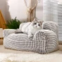 Eine wunderschöne Ragdoll-Katze liegt bequem auf einem luxuriösen Sofa, einer Mini-Sofa-förmigen Haustierliege mit modernem Design, die in einem hellen, stilvollen Interieur platziert ist.