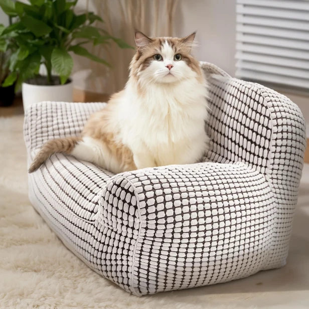 Eine große, flauschige, langhaarige Katze sitzt stolz auf einem Designer-Haustierbett in Form eines Sofas.