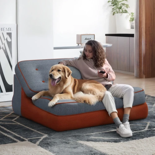 Eine Frau und ihr Golden Retriever sitzen zusammen in einem modernen, zweisitzigen Modulsessel in Grau mit orangefarbenen Akzenten. Eine modulare Chaiselongue, die sich in ein 3-Wege-Bett verwandeln lässt.
