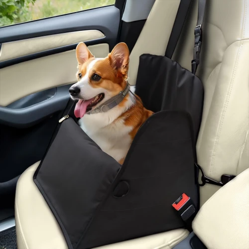 Hund im Auto im 3-in-1-Reisesitz.