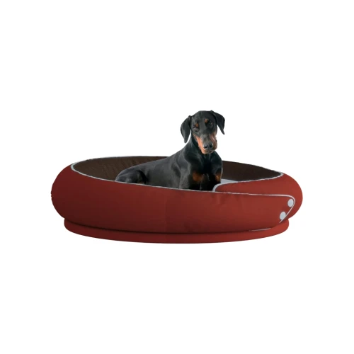 Ein großer, schwarzer Dobermann sitzt in einem bequemen, gemütlichen runden Bett mit hohem, weichem Rand in einem intensiven Rot-/Burgunderton.