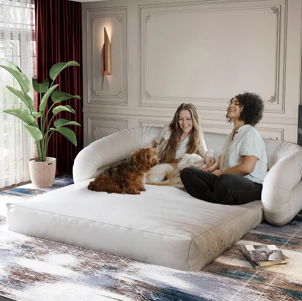 Zwei Frauen und zwei Hunde auf einem Schlafsofa im Wohnzimmer.
