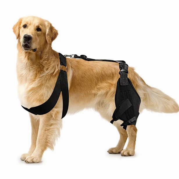 Kniestütze für Hunde
