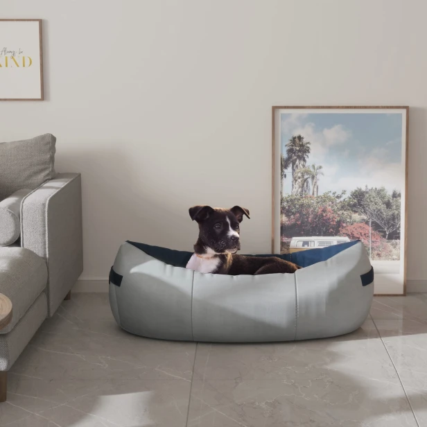 Hund sitzt mit fröhlichem Gesicht im Bett im Wohnzimmer