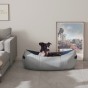 Hund sitzt mit fröhlichem Gesicht im Bett im Wohnzimmer