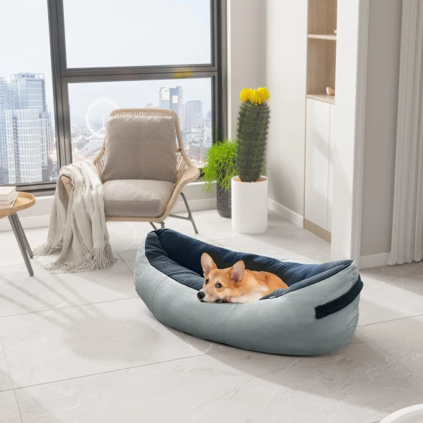 Hund sitzt mit fröhlichem Gesicht im Bett im Wohnzimmer