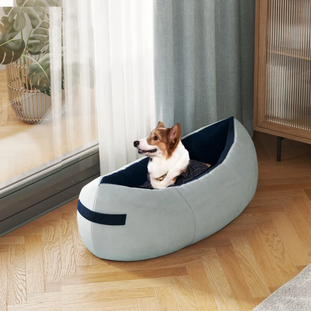 Hund sitzt mit fröhlichem Gesicht im Bett im Wohnzimmer