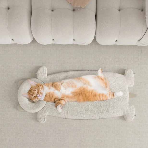 Eine Katze liegt in einem innovativen Mehrzweck-Katzenbett