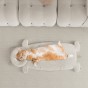 Eine Katze liegt in einem innovativen Mehrzweck-Katzenbett