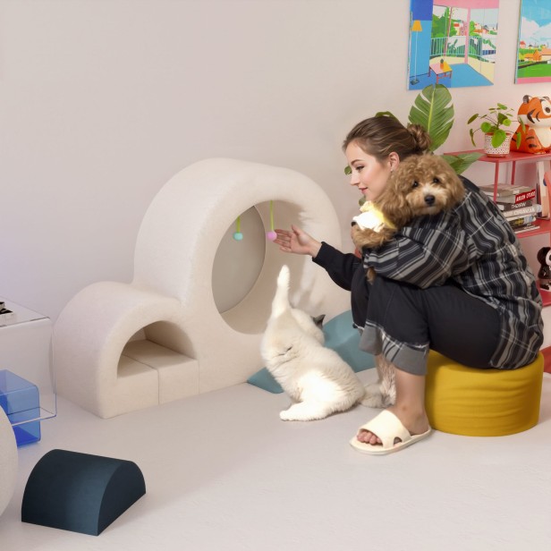 Frau spielt mit Katzen auf der Katzenkletterleiter.