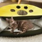 Eine Katze liegt in einem dreieckigen Katzentunnel
