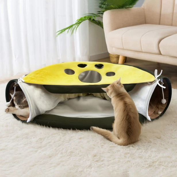 Zwei Katzen spielen im dreieckigen Katzentunnel