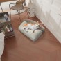 Hund liegt auf einem gesteppten Hundebett - Pocket at Home