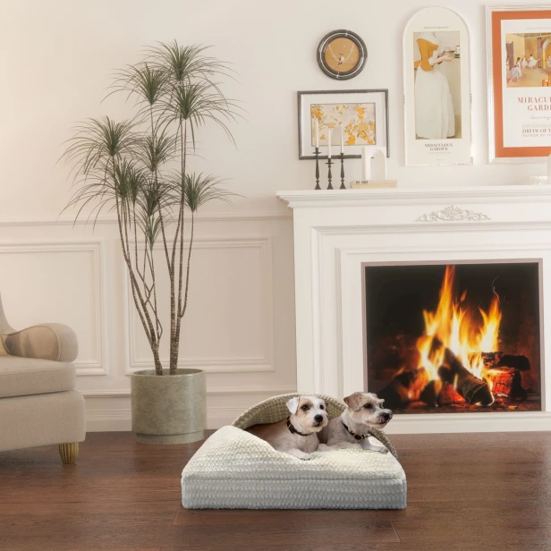 Zwei Hunde liegen gemütlich zu Hause am Kamin auf einem gesteppten Hundebett – Pocket