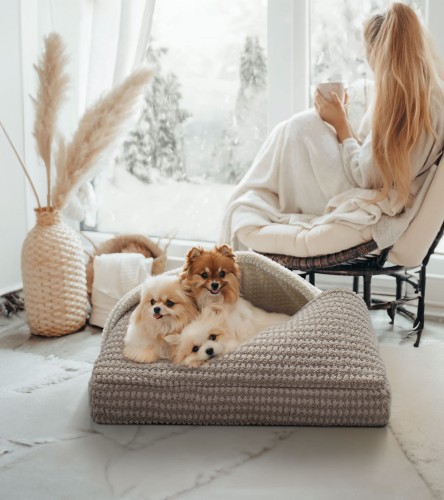 3 Hunde liegen auf einem gesteppten Hundebett - Tasche
