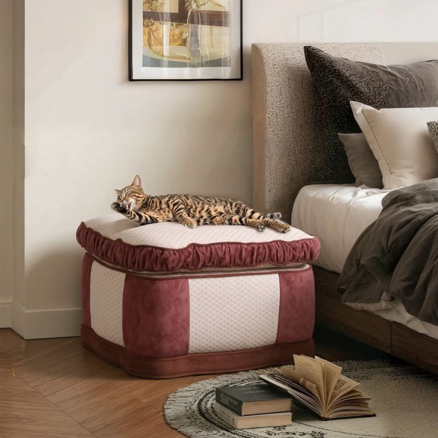 Katze liegt auf einem Hocker im Wohnzimmer