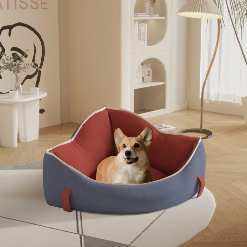 Ein Hund liegt in einem Eck-Hundebett