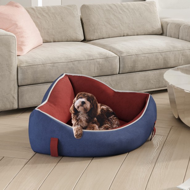 Ein Hund liegt in einem Eck-Hundebett