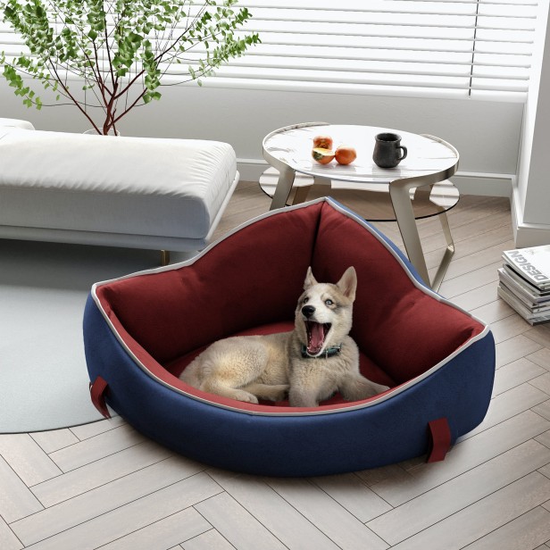 Ein Hund liegt in einem Eck-Hundebett