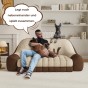 Ein Mann sitzt mit zwei Hunden auf einem Sofa.