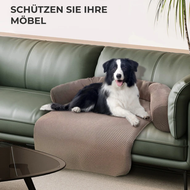 Hund liegt auf einem luftigen Hunde-/Katzenbett auf der Couch.