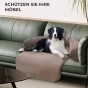 Hund liegt auf einem luftigen Hunde-/Katzenbett auf der Couch.