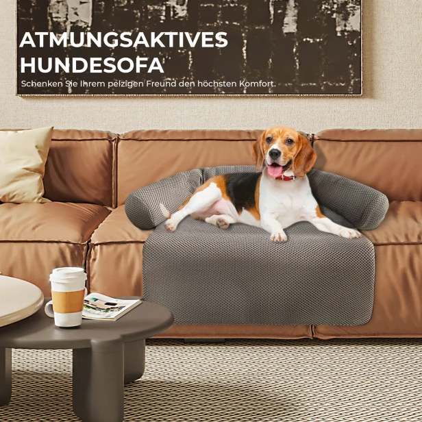 Hund liegt auf einem luftigen Hunde-/Katzenbett auf der Couch.