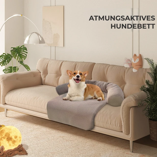 Hund liegt auf einem luftigen Hunde-/Katzenbett auf der Couch.