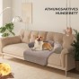 Hund liegt auf einem luftigen Hunde-/Katzenbett auf der Couch.