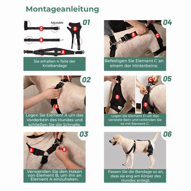 Stabilizator kolana dla psa, instrukcja montażu.