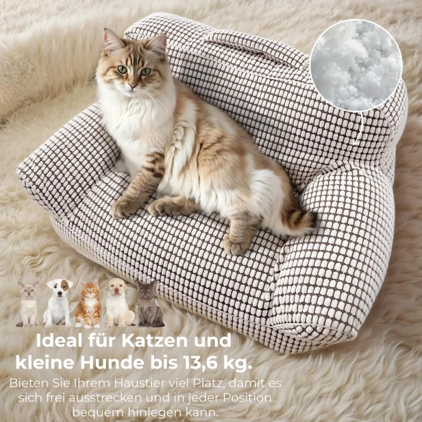Eine große, flauschige Katze sitzt auf einem sofaähnlichen Haustierbett.