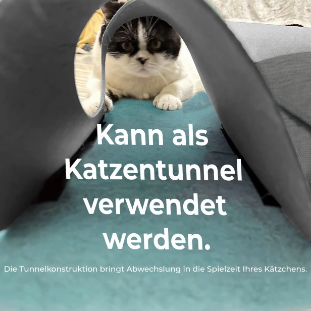Die niedliche Katze betritt den Spieltunnel aus weichem, grauem Material. Der vom Eingang aus sichtbare Tunnel dient dazu, das Spiel- und Aktivitätsangebot der Katze abwechslungsreicher zu gestalten.