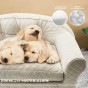 luxuriöses beiges Hundesofa (Bett) mit drei schlafenden Golden-Retriever-Welpen.