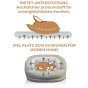 Eine Infografik, die schematisch die wichtigsten Vorteile eines Hundebetts darstellt, wobei der Schwerpunkt auf Komfort und Platz liegt.