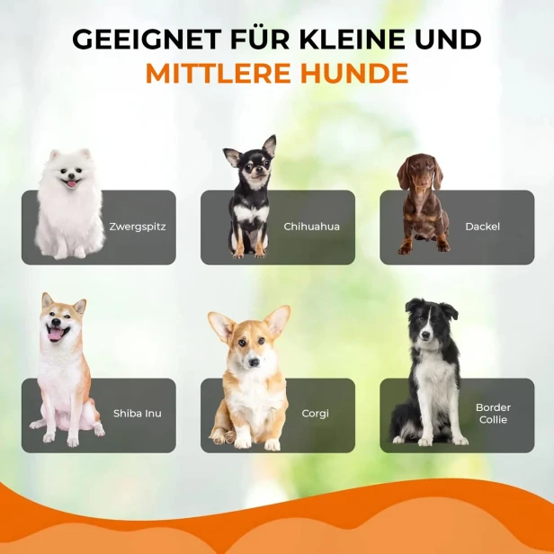 Werbegrafiken, die die Zielgruppe der Nutzer des vorgestellten Bettes klar definieren.